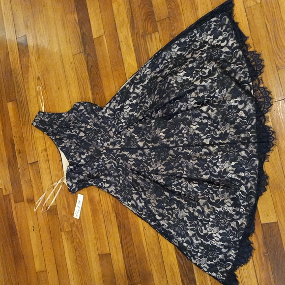 STUNNING Eliza J one shoulder NYSTROMS tea length navy lace dress size 10 - Picture 10 of 15